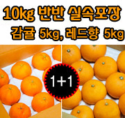 5kg(Ʒ迭)+Ͽ콺5kg(迭) (10kg)