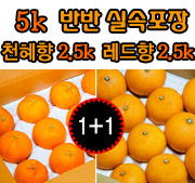 천혜향+레드향 5kg 실속(18~25)